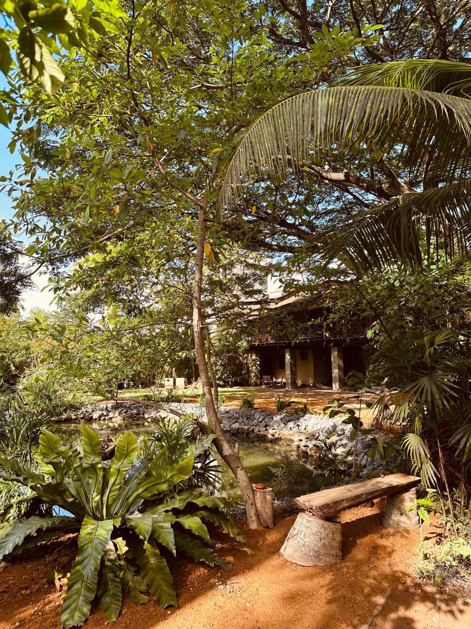 Bed & Breakfast Dunes